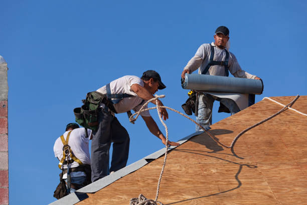 Best Local Roofing Companies  in Lindale, GA